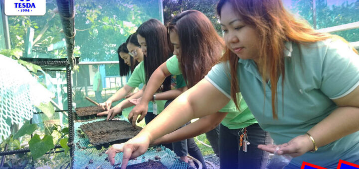 RTC Guiguinto Chief Mr. Rheo Henry Rodriguez launched the mini organic garden and hydroponics project