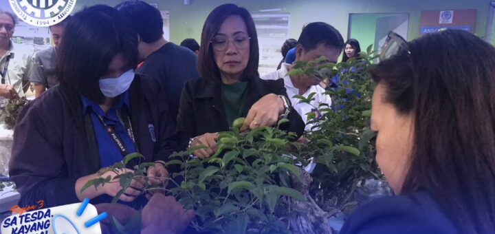 TESDA Bulacan Hosts Bonsai Seminar and Workshop